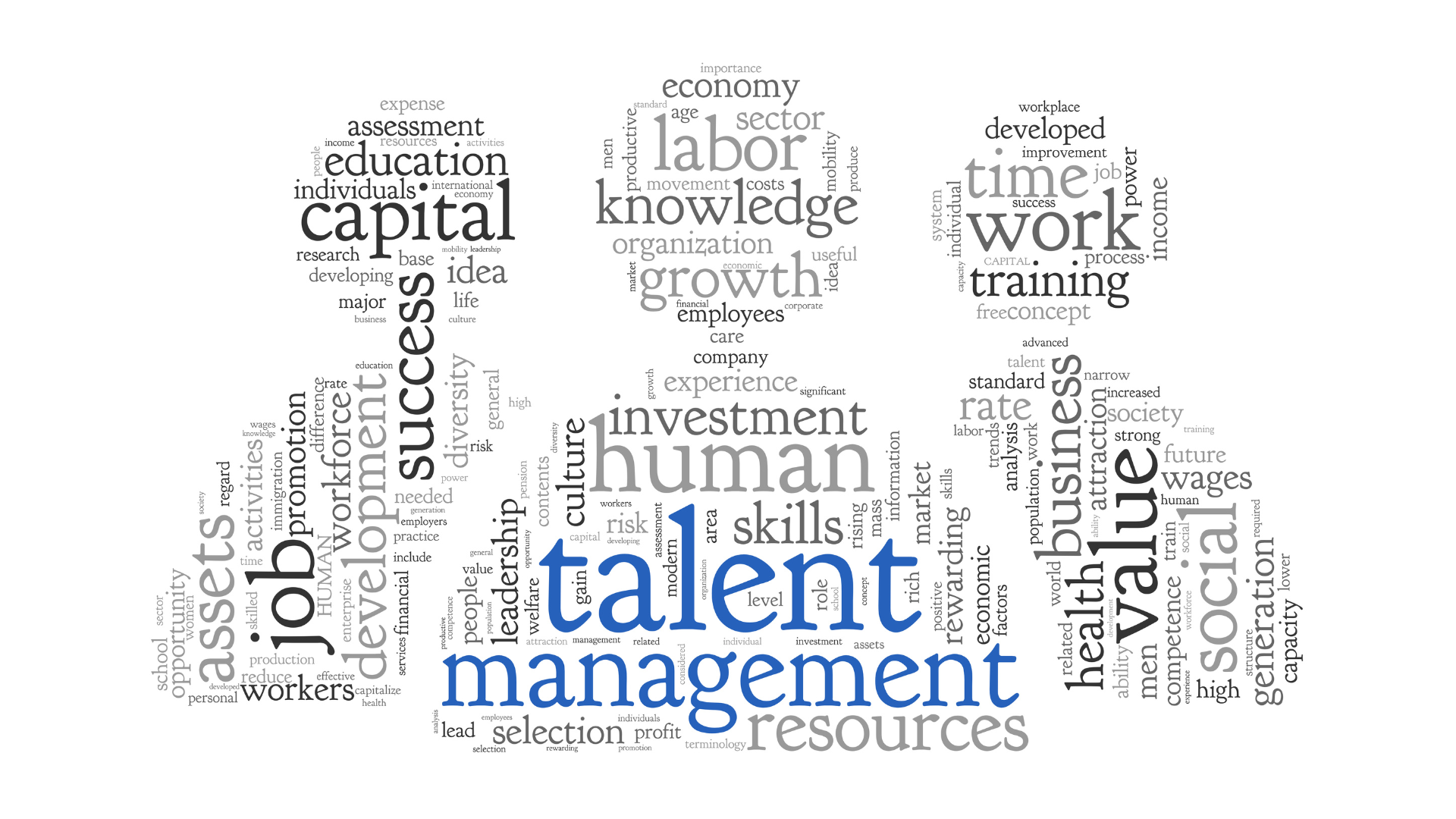 Welcome to the Talent Pathway Knowledge Hub